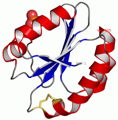 Image Asym./Biol. Unit - manually