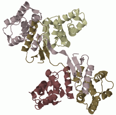 Image Biol.Unit 1 - manually