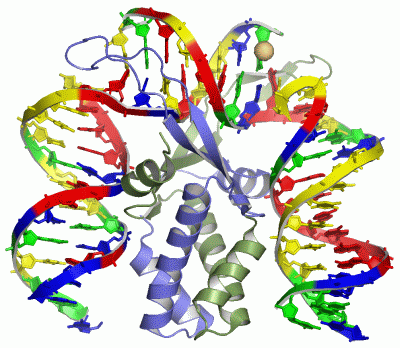 Image Asym./Biol. Unit - manually