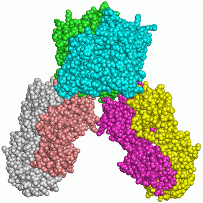 Image Asym./Biol. Unit - manually