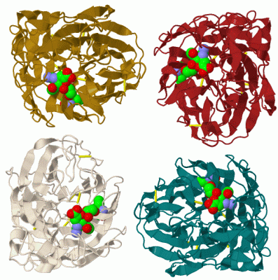 Image Biol.Unit 1 - manually