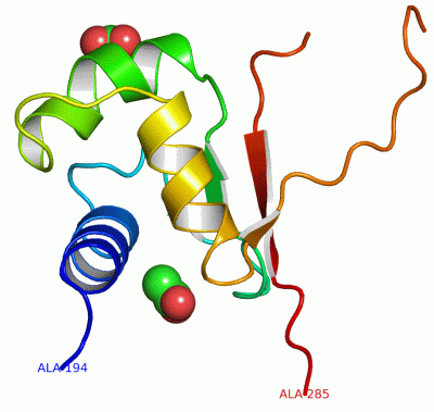 Image Asym./Biol. Unit - manually