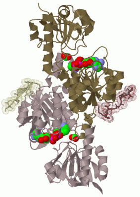 Image Biol.Unit 1 - manually