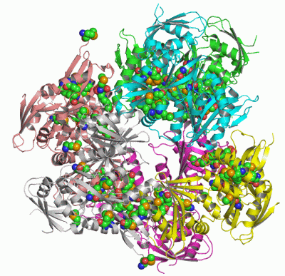 Image Asym./Biol. Unit - manually