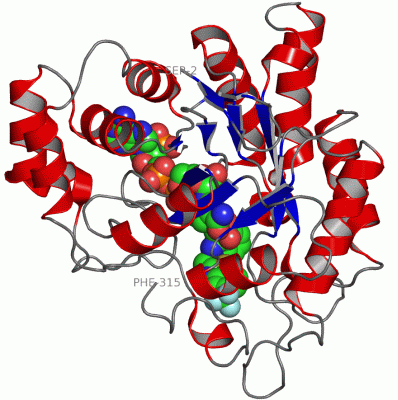 Image Asym./Biol. Unit - manually