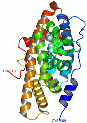 Image Asym./Biol. Unit - manually