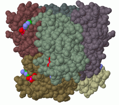 Image Biol.Unit 1 - manually