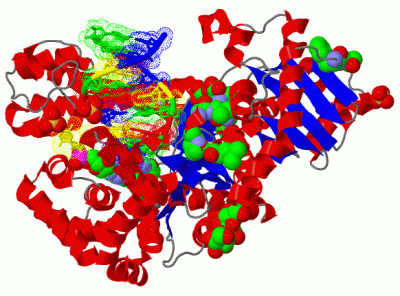 Image Biol.Unit 1 - manually