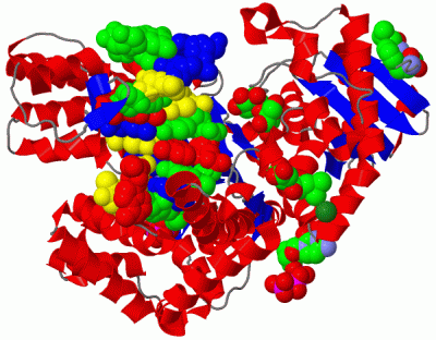 Image Biol.Unit 1 - manually