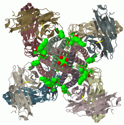 Image Biol.Unit 1 - manually