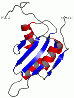 Image NMR Structure - manually