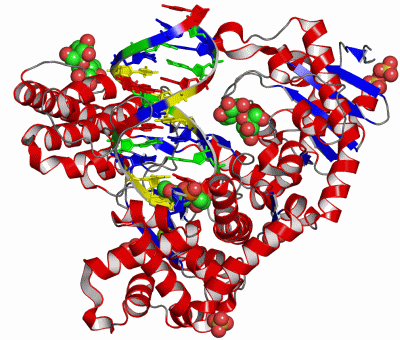 Image Asym./Biol. Unit - manually