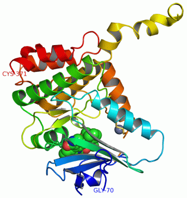 Image Asym./Biol. Unit - manually