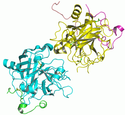 Image Asym./Biol. Unit - manually