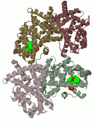 Image Biol.Unit 1 - manually