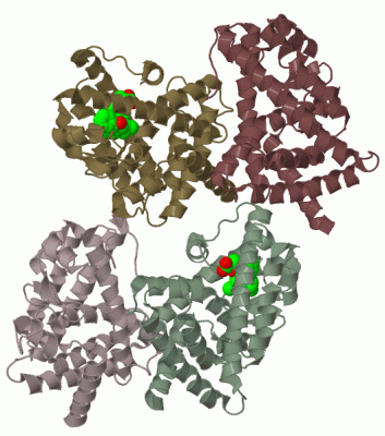 Image Biol.Unit 1 - manually