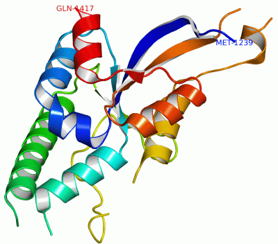 Image Asym./Biol. Unit - manually