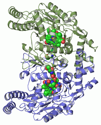 Image Asym./Biol. Unit - manually