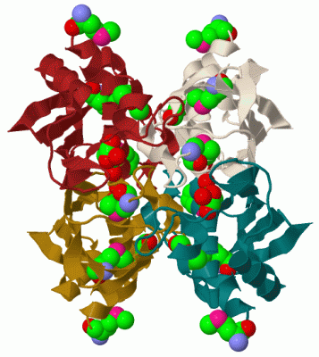 Image Biol.Unit 1 - manually