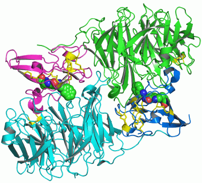 Image Asym./Biol. Unit - manually