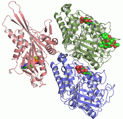 Image Asym./Biol. Unit - manually