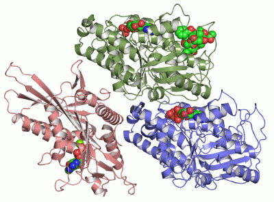 Image Asym./Biol. Unit - manually