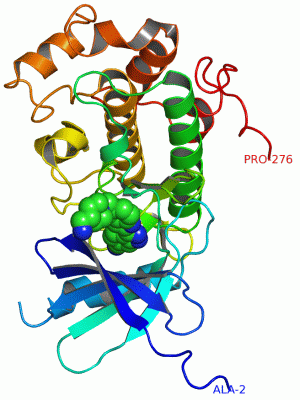 Image Asym./Biol. Unit - manually