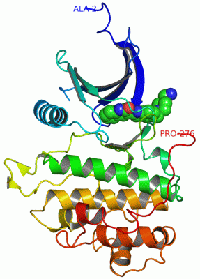 Image Asym./Biol. Unit - manually