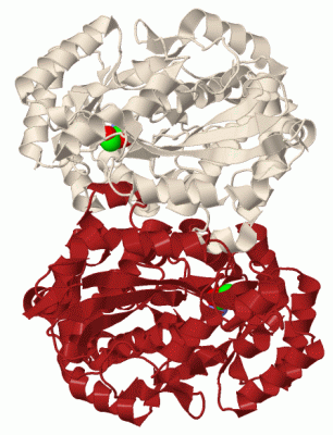 Image Biol.Unit 1 - manually