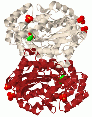 Image Biol.Unit 1 - manually