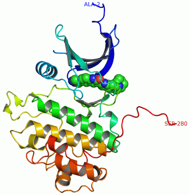 Image Asym./Biol. Unit - manually