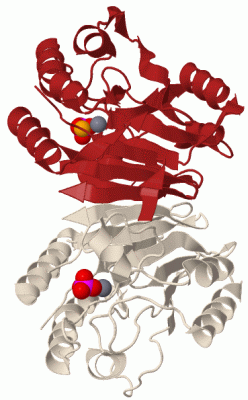 Image Biol.Unit 1 - manually