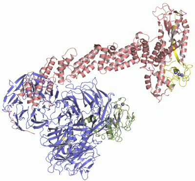 Image Asym./Biol. Unit - manually