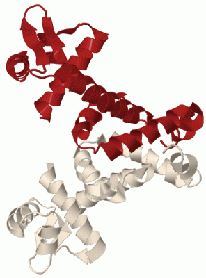 Image Biol.Unit 1 - manually
