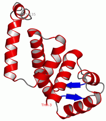 Image Asym.Unit - manually