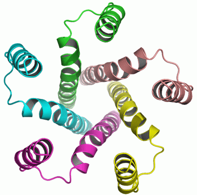 Image NMR Structure - manually