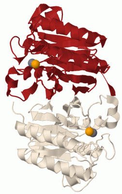 Image Biol.Unit 1 - manually