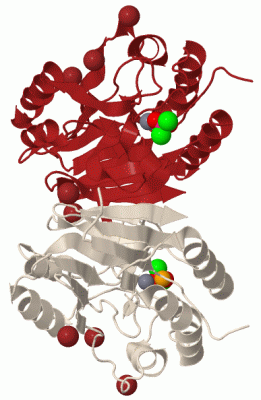 Image Biol.Unit 1 - manually