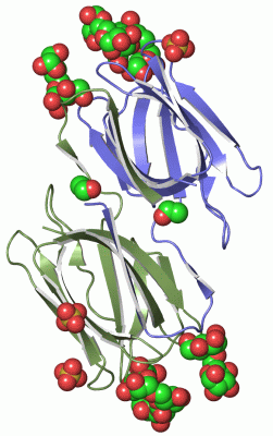 Image Asym./Biol. Unit - manually