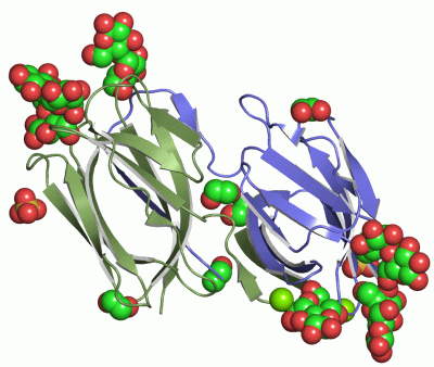 Image Asym./Biol. Unit - manually