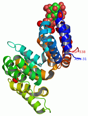 Image Asym./Biol. Unit - manually