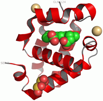 Image Asym./Biol. Unit - manually