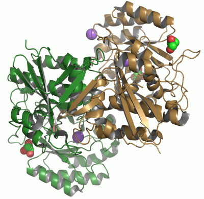 Image Asym./Biol. Unit - manually