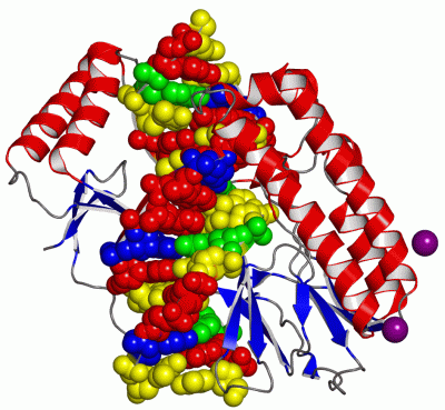 Image Asym./Biol. Unit - manually