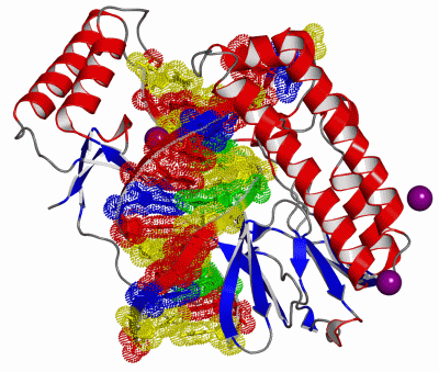 Image Asym./Biol. Unit - manually