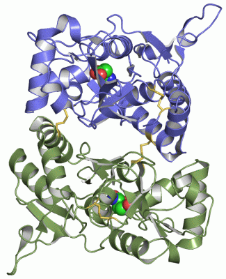 Image Asym./Biol. Unit - manually