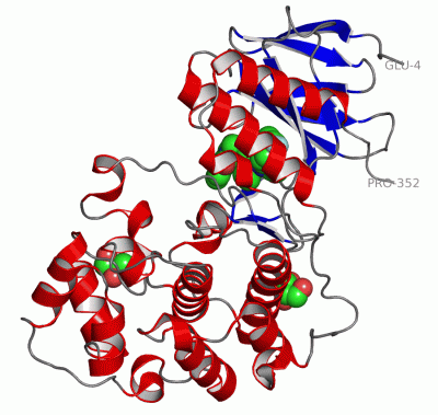 Image Asym./Biol. Unit - manually