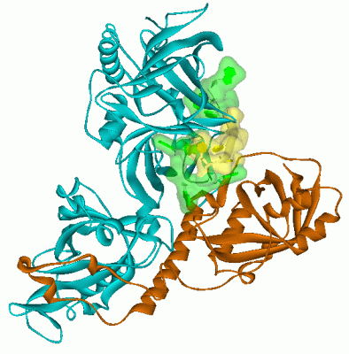 Image Asym./Biol. Unit - manually