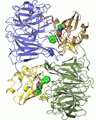 Image Asym./Biol. Unit - manually