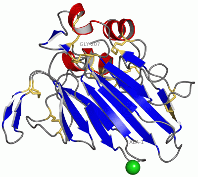 Image Asym./Biol. Unit - manually